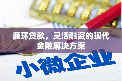 芦山循环贷款，灵活融资的现代金融解决方案