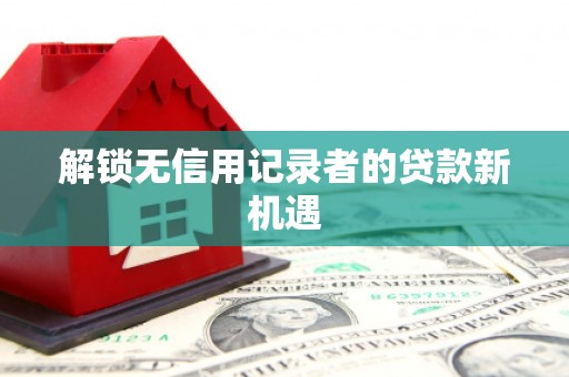 芦山解锁无信用记录者的贷款新机遇