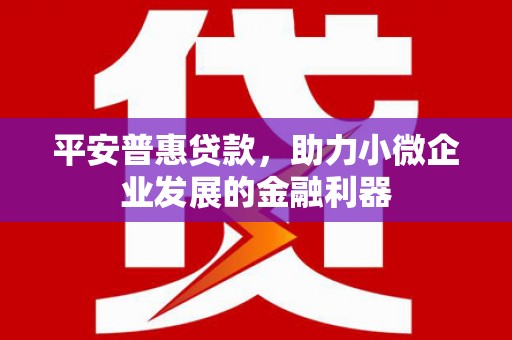 芦山平安普惠贷款，助力小微企业发展的金融利器