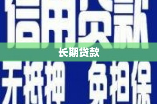 芦山长期贷款