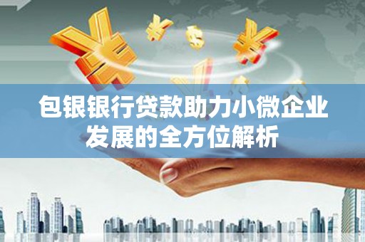 芦山包银银行贷款助力小微企业发展的全方位解析
