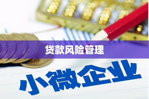 芦山贷款风险管理