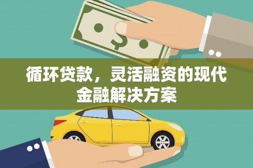 芦山循环贷款，灵活融资的现代金融解决方案
