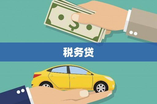 芦山税务贷