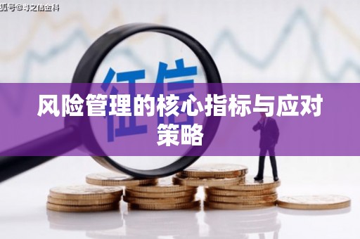 芦山风险管理的核心指标与应对策略