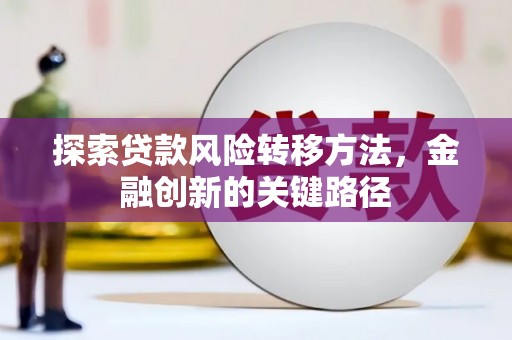 芦山探索贷款风险转移方法，金融创新的关键路径
