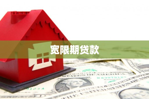 芦山宽限期贷款