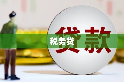 芦山税务贷
