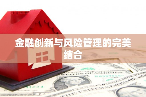 芦山金融创新与风险管理的完美结合