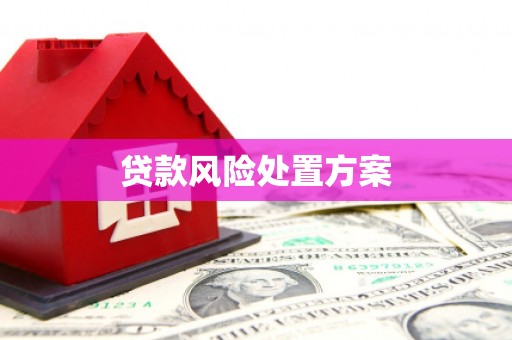 芦山贷款风险处置方案