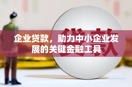 芦山企业贷款，助力中小企业发展的关键金融工具