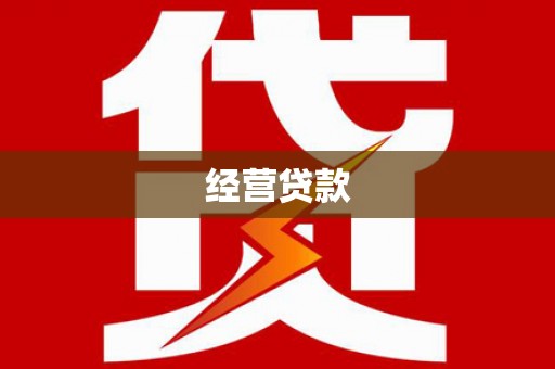 芦山经营贷款
