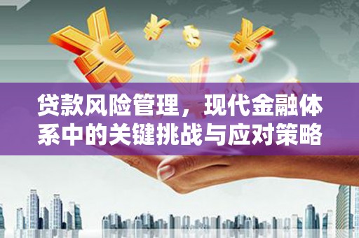 芦山贷款风险管理，现代金融体系中的关键挑战与应对策略