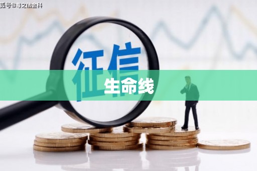 芦山生命线