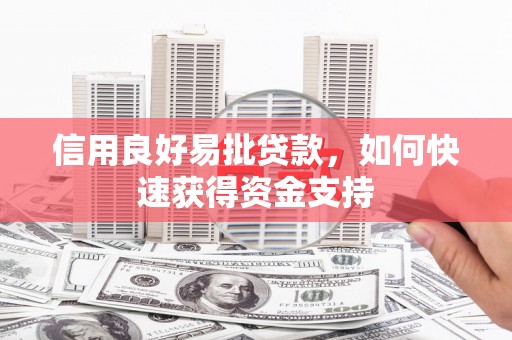 芦山信用良好易批贷款，如何快速获得资金支持