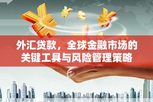 芦山外汇贷款，全球金融市场的关键工具与风险管理策略