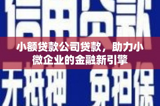 芦山小额贷款公司贷款，助力小微企业的金融新引擎