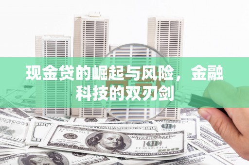 芦山现金贷的崛起与风险，金融科技的双刃剑