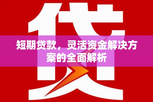 芦山短期贷款，灵活资金解决方案的全面解析