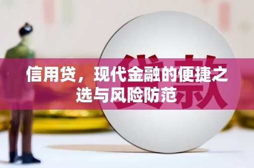 芦山信用贷，现代金融的便捷之选与风险防范