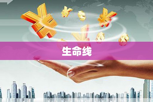 芦山生命线