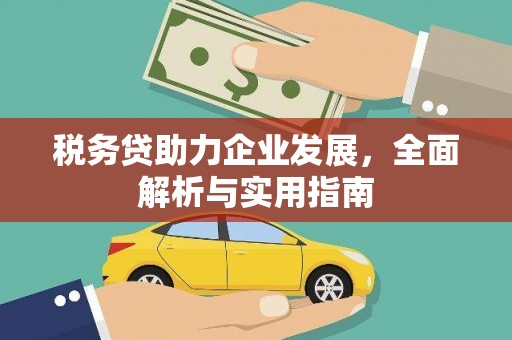 芦山税务贷助力企业发展，全面解析与实用指南