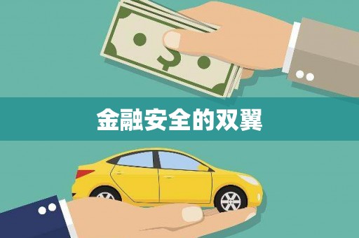 芦山金融安全的双翼