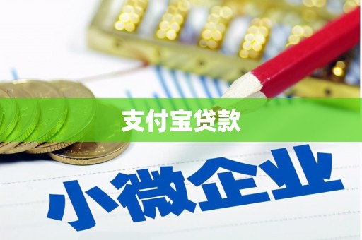 芦山支付宝贷款