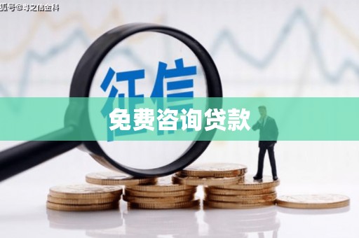 芦山免费咨询贷款