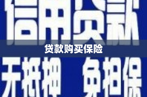 芦山贷款购买保险