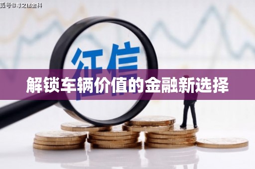 芦山解锁车辆价值的金融新选择
