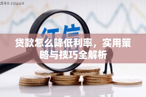 芦山贷款怎么降低利率，实用策略与技巧全解析