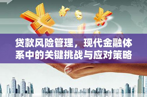 芦山贷款风险管理，现代金融体系中的关键挑战与应对策略