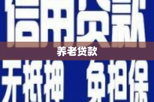 芦山养老贷款