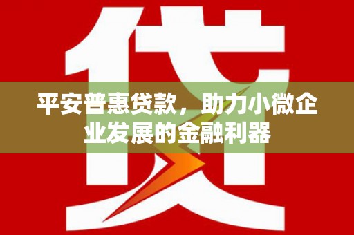 芦山平安普惠贷款，助力小微企业发展的金融利器