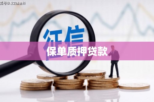 芦山保单质押贷款