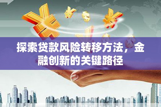 芦山探索贷款风险转移方法，金融创新的关键路径