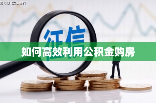 芦山如何高效利用公积金购房