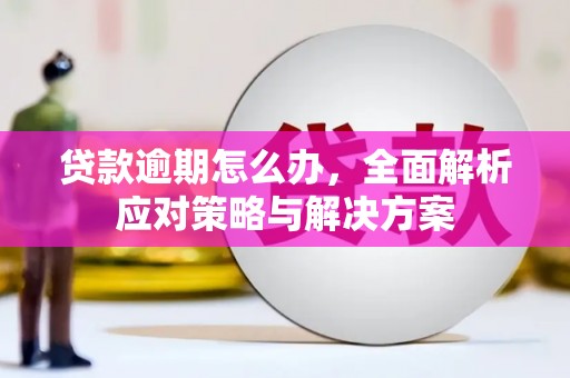 芦山贷款逾期怎么办，全面解析应对策略与解决方案