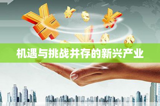 芦山机遇与挑战并存的新兴产业