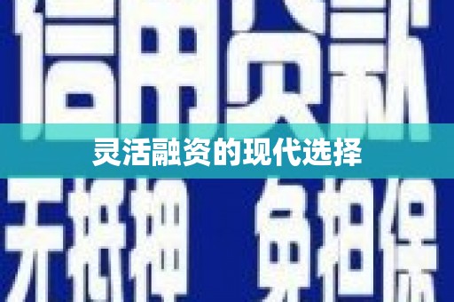芦山灵活融资的现代选择