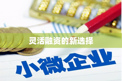 芦山灵活融资的新选择