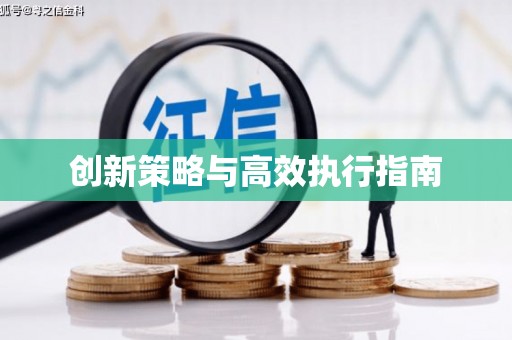 芦山创新策略与高效执行指南