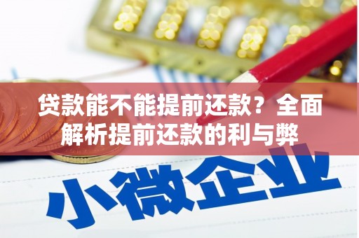 芦山贷款能不能提前还款？全面解析提前还款的利与弊