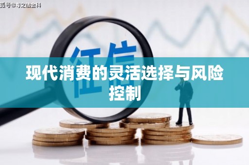 芦山现代消费的灵活选择与风险控制