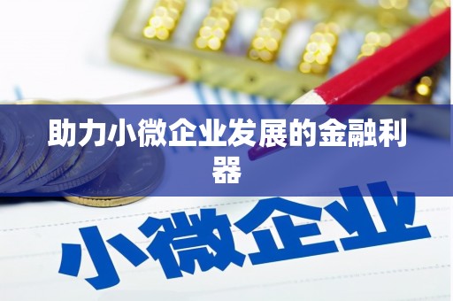芦山助力小微企业发展的金融利器