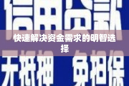 芦山快速解决资金需求的明智选择