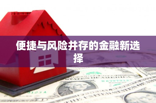 芦山便捷与风险并存的金融新选择