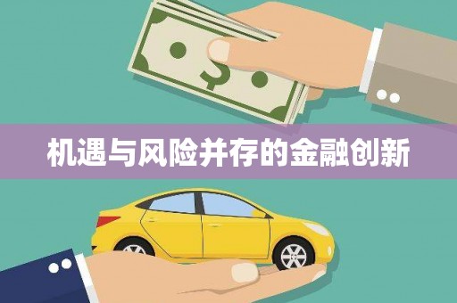 芦山机遇与风险并存的金融创新