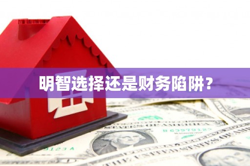 芦山明智选择还是财务陷阱？